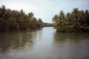 Backwaters
