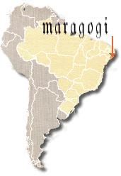 BRASIL&nbsp; alagoas,&nbsp; Maragogi