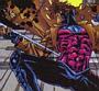 Gambit 27