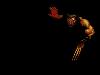 Wolverine 4