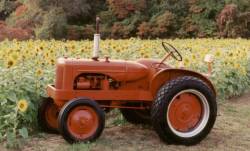 1951 Allis Chalmers Model IB