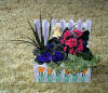 From Colleagues of Wendy at MLT Bartell's.