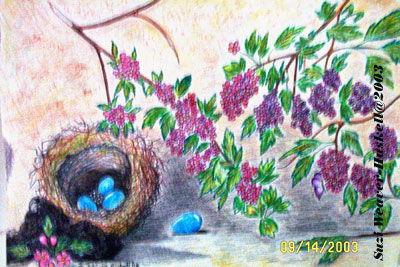 Colored Pencil on Sketch Pad paper, 16" x 20"