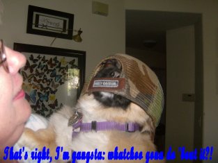 Yea, you got it, Me Gangsta-whatchoo gona do 'bout it? haha