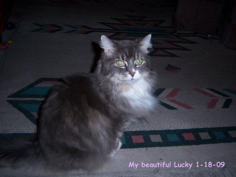 Lucky&nbsp; Aug 09