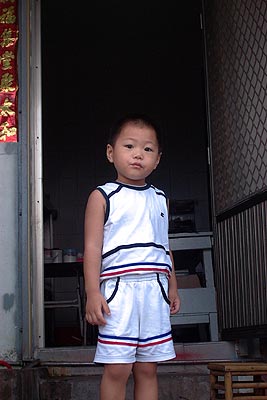 curiouswonder.jpg (21241 bytes)
