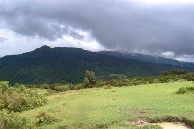greenfields.jpg (17396 bytes)