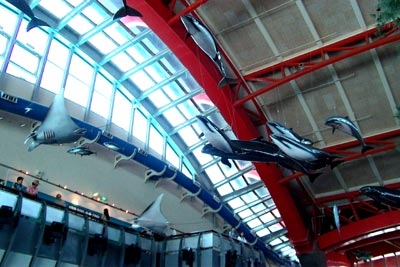 marinebiologicalcentre.jpg (32711 bytes)