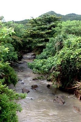 serenerapids.jpg (33578 bytes)