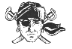 Shady Hills Raiders