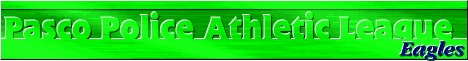 PPAL Logo  Eagles