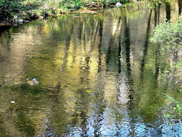 dsc01673.jpg