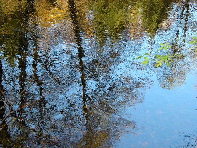 dsc01675.jpg