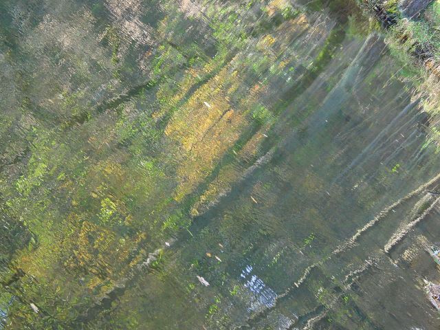 dsc01679.jpg
