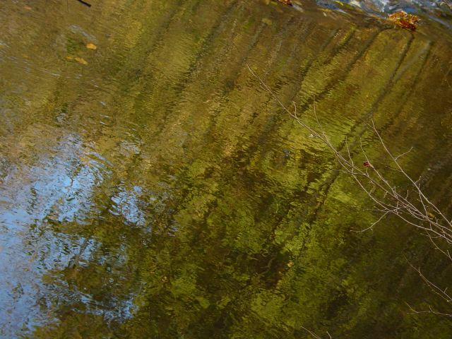 dsc01680.jpg