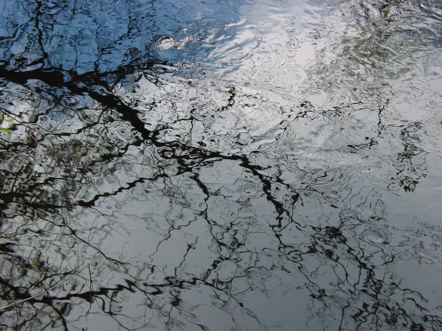 dsc01681.jpg