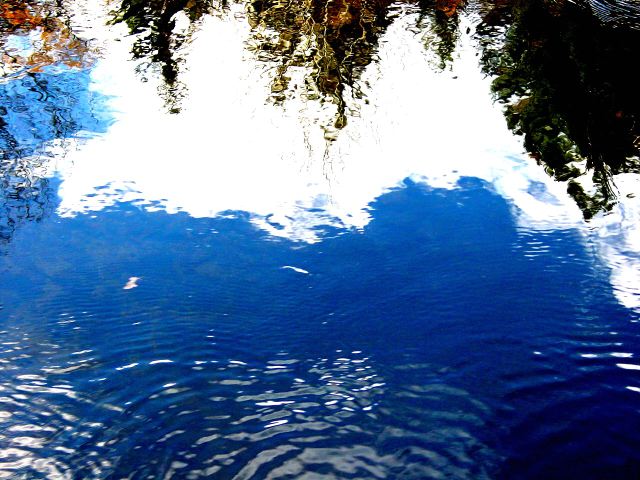 dsc01682.jpg