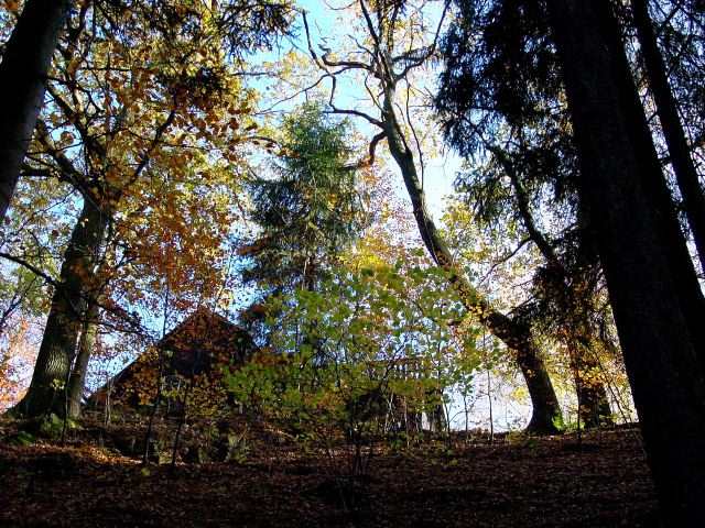 dsc01685.jpg