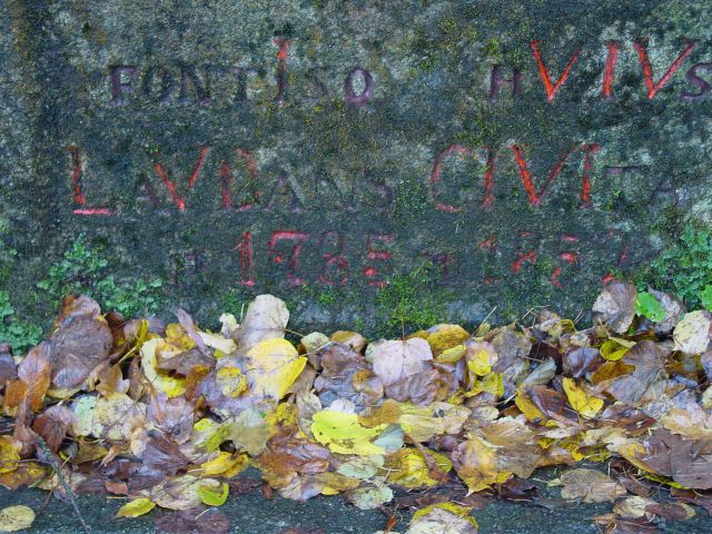 dsc01688.jpg