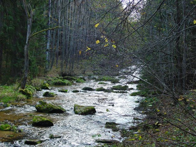 dsc01691.jpg