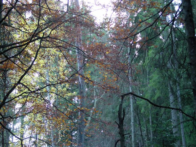 dsc01693.jpg