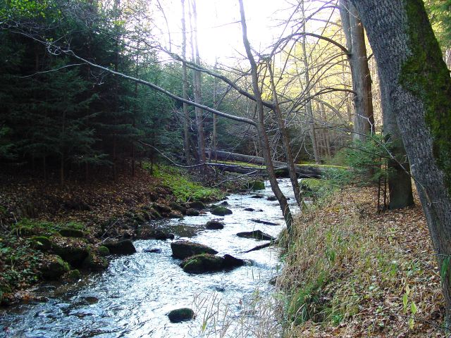 dsc01695.jpg