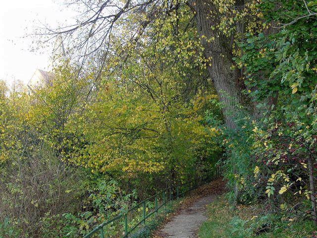 dsc01700.jpg