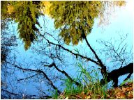 dsc01676.html