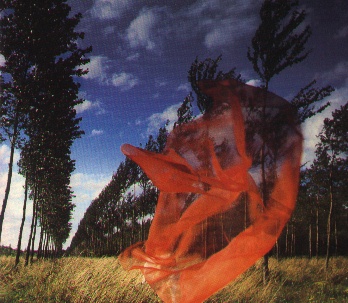 Steel breeze