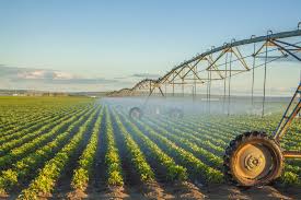 Irrigation Valves