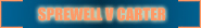 ...::: - Coming Soon - :::...