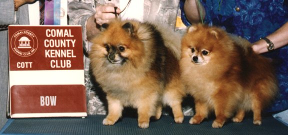 Rocky and Tinker