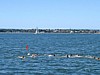 ppregatta04-10.jpg
