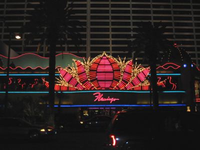 Flamingo