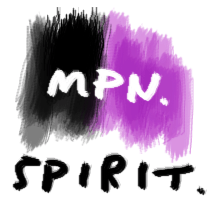 mpnspirit.gif (20944 bytes)