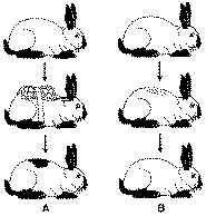 test_chapter1_files/i0380000.jpg