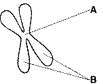 quiz_10_files/i0050000.jpg