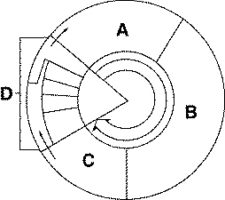 quiz_10_files/i0170000.jpg