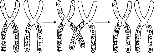 quiz_chapter_11_files/i0170000.jpg