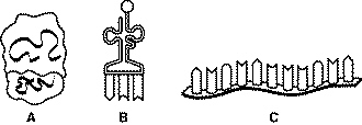 quiz_chapter_12_files/i0260000.jpg