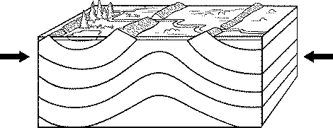 quiz_chapter_15_files/i0040000.jpg