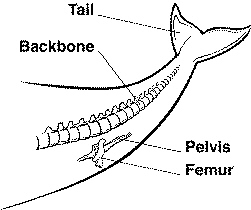 quiz_chapter_15_files/i0180000.jpg