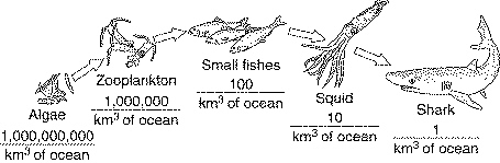 quiz_chapter_3_files/i0130000.jpg