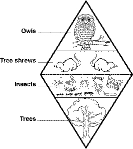 quiz_chapter_3_files/i0150000.jpg