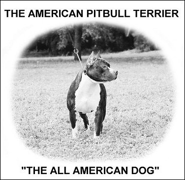 Prado Kennel