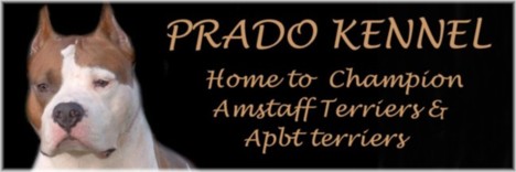 Prado Pits