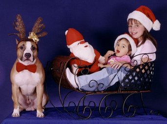 Merry X-Mas!!!