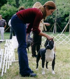 Rose's First Show
