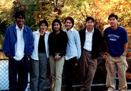 Hiddentree and the Gang