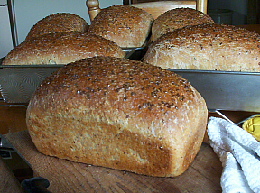 whole wheat with flax 